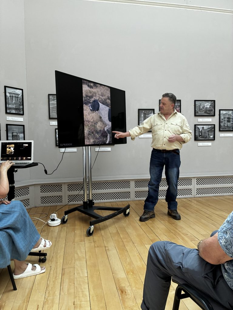  Images